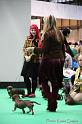 Crufts2011_2 1608